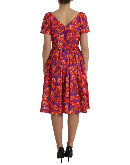 Dolce & Gabbana Multicolor Floral Cotton A-line Knee Length Dress