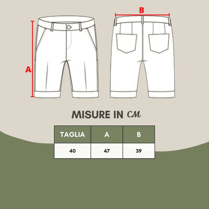 Lardini Elegant Silk-Linen Blend Multicolor Shorts