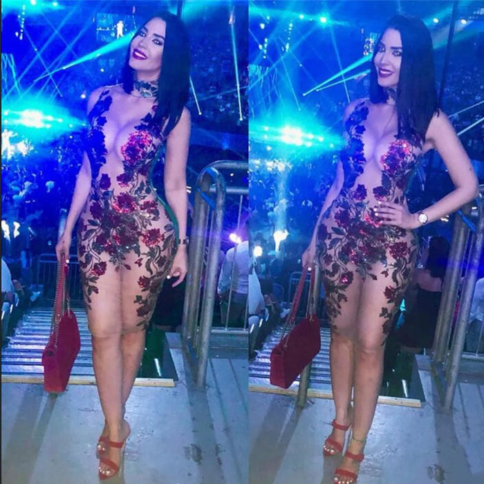 See through Mesh Red Sequin Mini Summer Dress Women Night club outfits cocktail Dresses Party bodycon